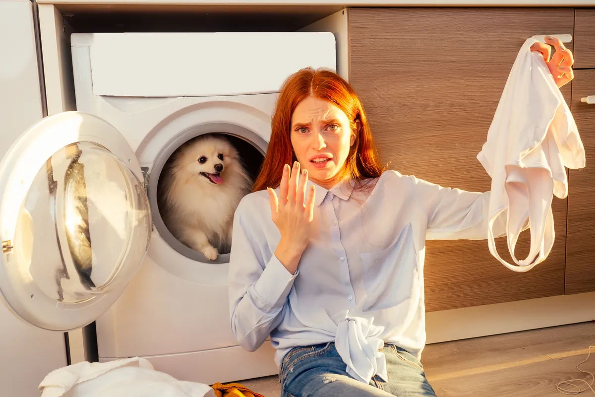 Jak usunąć nieprzyjemny zapach z pralki? Przyczyny, domowe sposoby i profilaktyka